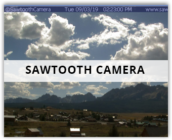 Sawtooth Camera